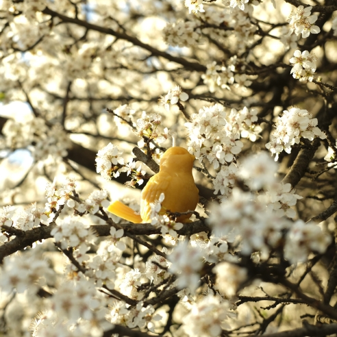 Sparrow bird natural beeswax candle