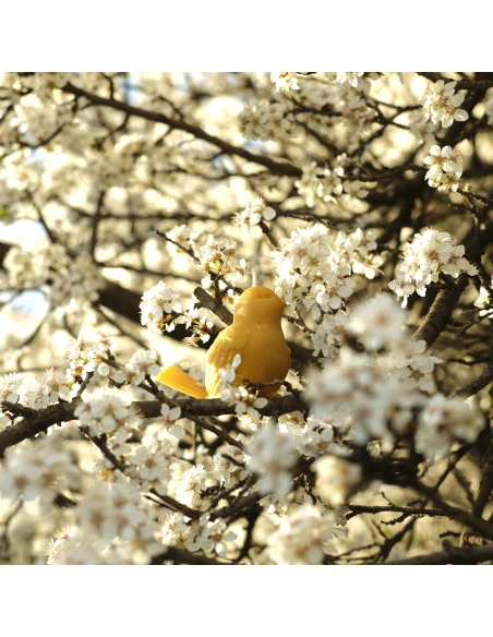 Sparrow bird natural beeswax candle
