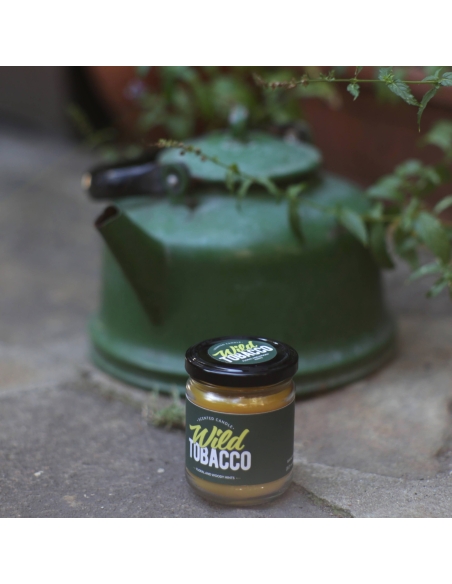 Wild Tobacco scented natural beeswax candle, jar