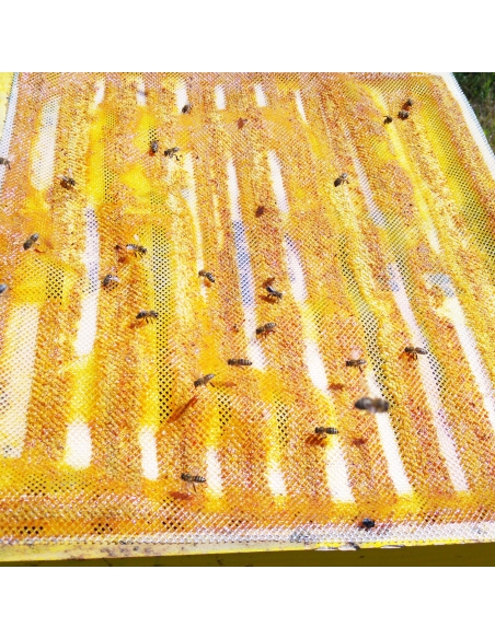 Raw Natural Bee Propolis - 10g